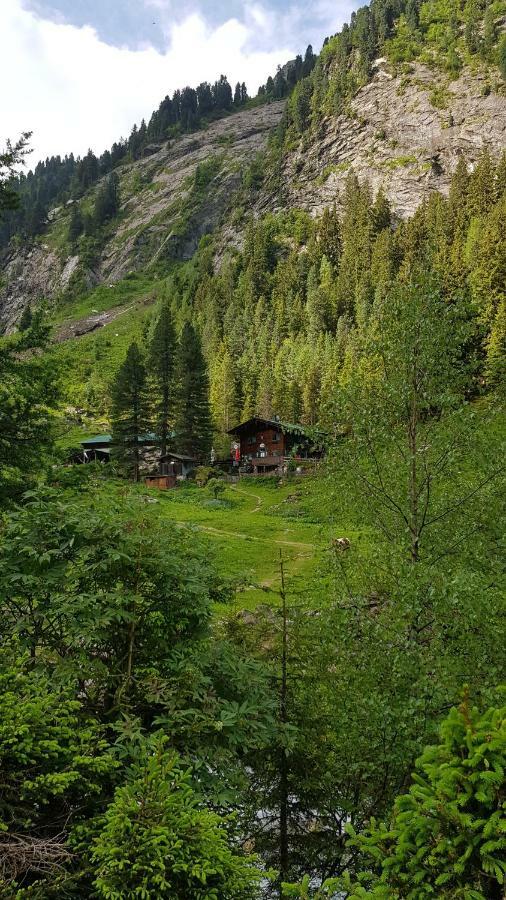 Eberl'S Zirbenlodge Ginzling Exterior foto